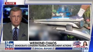 Brit Hume: What Democrats are doing and saying about anti-ICE protests is 'politically insane'