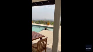 Pasadena bear returns to residents' home after Eaton fire to enjoy a dip - Fox News