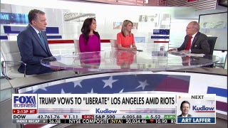 The Los Angeles DA has to make anti-ICE protesters 'feel the pain,' says Paul Mauro