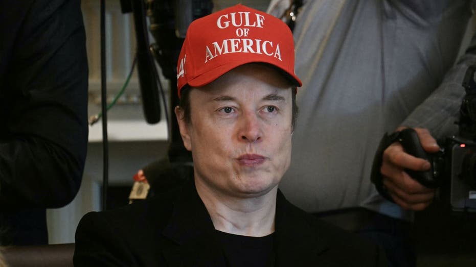 Elon Musk at a cabinet meeting wearing a Gulf of America hat