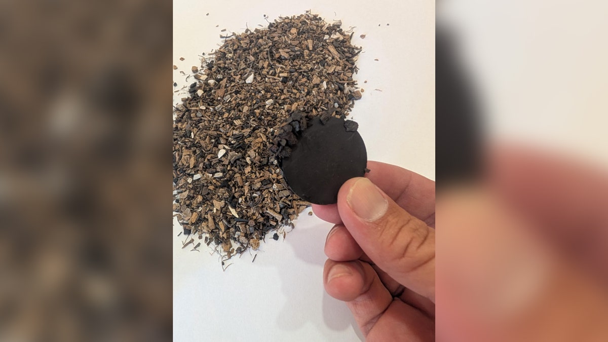 Hammerscale